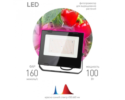 Прожектор светодиодный ЭРА PRO 100W 1200K Fito-100W-RB-Led Б0046369