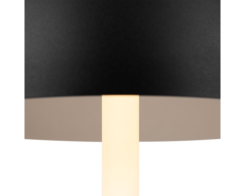 Настольная лампа Maytoni Ray Z012TL-L8B3K