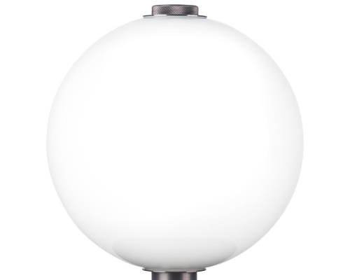 Настольная светодиодная лампа Lightstar Colore 805906