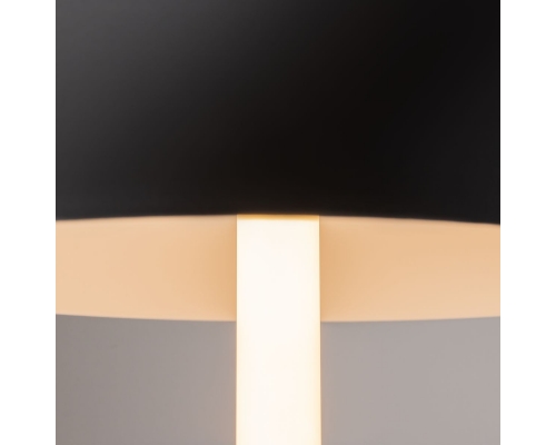 Настольная лампа Maytoni Ray Z012TL-L8B3K