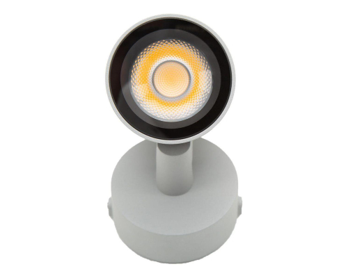 Ландшафтный светодиодный светильник DesignLed TN DL-FS0012-9-GR-WW 006809
