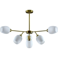 Люстра Moderli Cassy V10820-6C