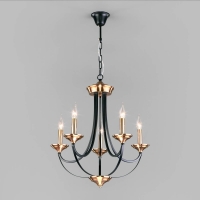 Люстра Eurosvet Lazzaro 60098/5 черный