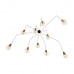 Люстра Loft IT Spider Loft1162A/10