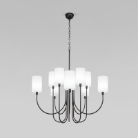 Люстра Eurosvet Abbey 60164/10 черный Smart