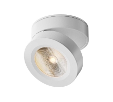 Спот Maytoni Alivar C022CL-L12W