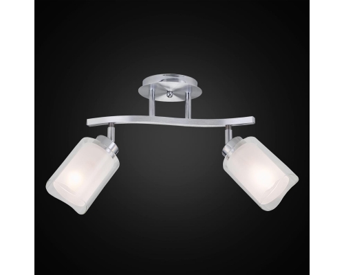 Спот Citilux Аэлита CL169121