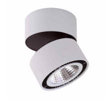 Потолочный светодиодный светильник Lightstar Forte Muro 214859