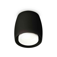 Комплект накладного светильника Ambrella light Techno Spot XS1142041 SBK/FR черный песок/белый матовый (C1142, N7165)