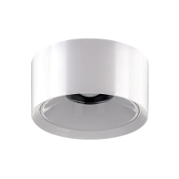 Потолочный светодиодный светильник Citilux Rover CL743090N