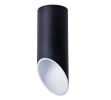 Потолочный светильник Arte Lamp Pilon A1615PL-1BK