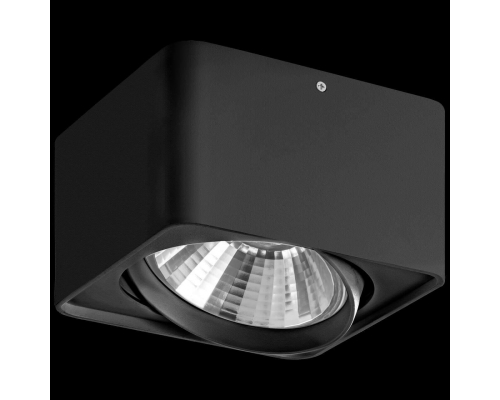 Потолочный светильник Lightstar Monocco 212617