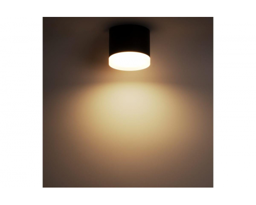 Накладной потолочный светильник Ritter Arton 59947 0