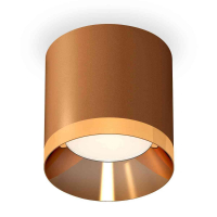 Комплект накладного светильника Ambrella light Techno Spot XS7404010 SCF/PYG кофе песок/золото желтое полированное (C7404, N7034)