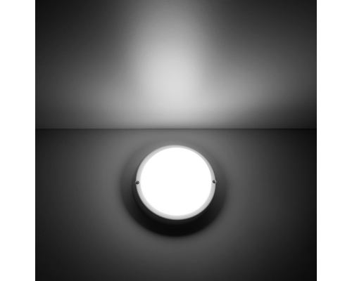 Потолочный светодиодный светильник Gauss Сауна 126411212