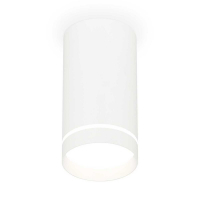 Комплект накладного светильника Ambrella light Techno Spot XS (C8161, N8461) XS8161006