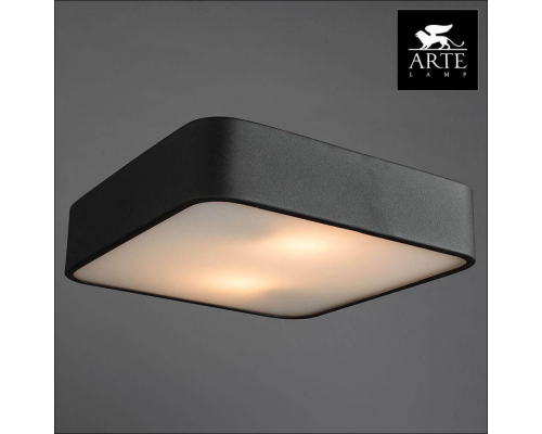 Потолочный светильник Arte Lamp Cosmopolitan A7210PL-2BK