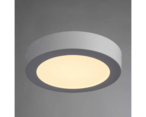 Потолочный светодиодный светильник Arte Lamp Angolo A3012PL-1WH