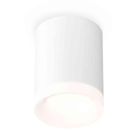 Комплект накладного светильника Ambrella light Techno Spot XS7421024 SWH/FR белый песок/белый матовый (C7421, N7160)