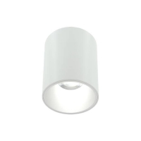 Накладной светильник Lightera Shamrock LE200CL-1W