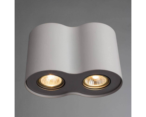 Потолочный светильник Arte Lamp Falcon A5633PL-2WH