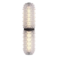 Настенный светильник ST Luce SAGUARO SL6144.401.01