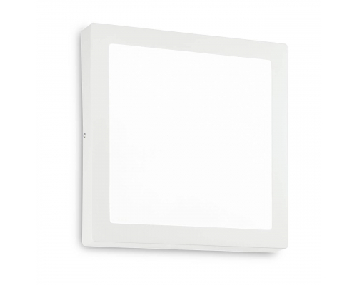 Настенно-потолочный светодиодный светильник Ideal Lux Universal D40 Square 240374