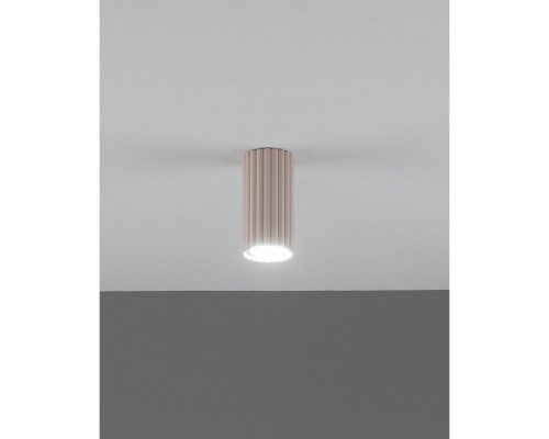 Настенно-потолочный светильник Moderli Cora V11889-1C