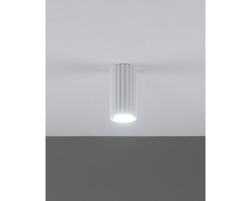 Настенно-потолочный светильник Moderli Cora V11888-1C