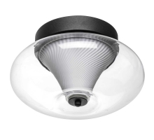 Светильник настенно- потолочный Palermo Lightstar 612017