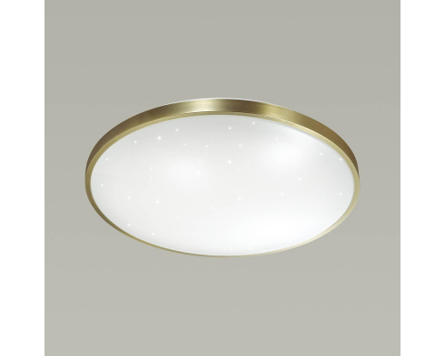 Настенно-потолочный светодиодный светильник Sonex Pale Lota bronze 2089/CL