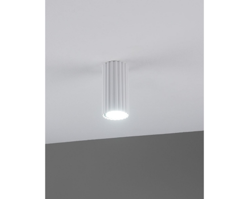 Настенно-потолочный светильник Moderli Cora V11888-1C