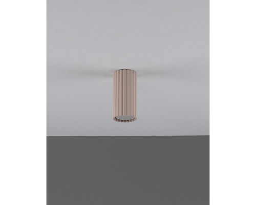 Настенно-потолочный светильник Moderli Cora V11889-1C