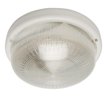 Настенно-потолочный светильник Feron НБО 05-100-001 41403