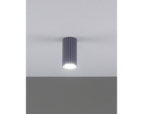 Настенно-потолочный светильник Moderli Cora V11890-1C