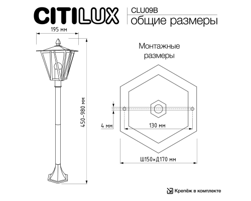 Садово-парковый светильник Citilux Forts CLU09B