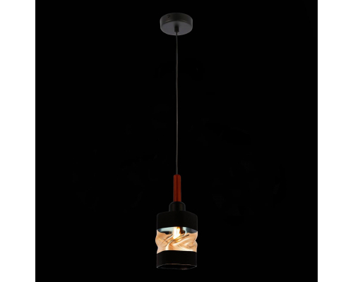 Подвесной светильник Evoluce Abiritto SLE114403-01