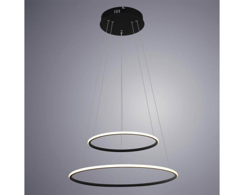 Подвесной светодиодный светильник Arte Lamp A2500SP-2BK