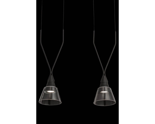 Подвесной светильник Maytoni Hilo P063PL-02B