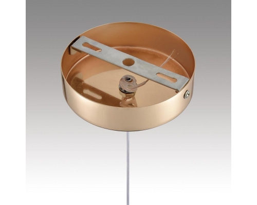Подвесной светодиодный светильник Lumion Ledio Rimini 8083/1A