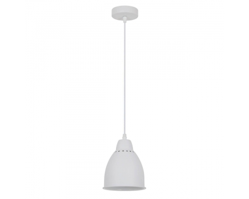 Подвесной светильник Arte Lamp Braccio A2054SP-1WH