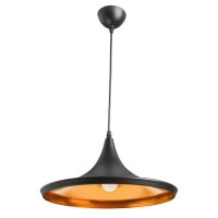 Подвесной светильник Arte Lamp Cappello A3406SP-1BK