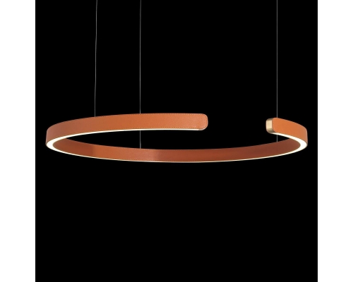 Подвесной светодиодный светильник Loft IT Ring 10025/600 Orange