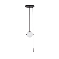 Подвесной светильник Loft IT Signal 10029PS Black