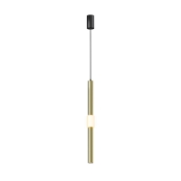 Подвесной светодиодный светильник Maytoni Technical Jelly P105PL-12W3K-BS