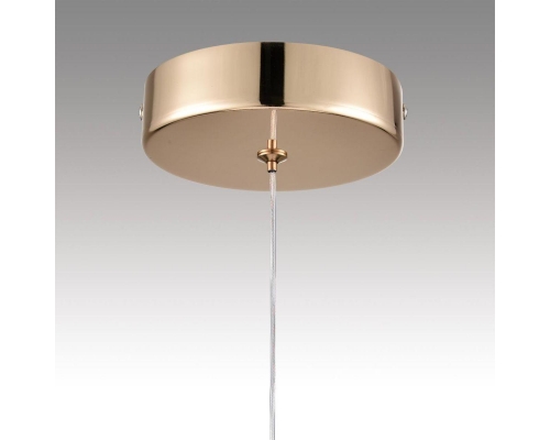 Подвесной светодиодный светильник Lumion Ledio Rimini 8083/1A