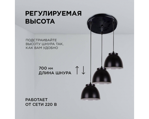 Подвесной светильник Apeyron 16-65