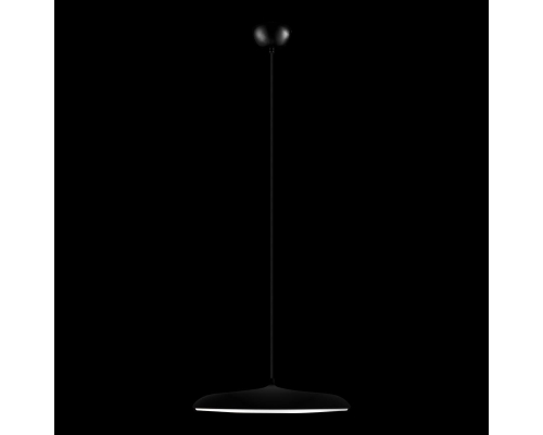 Подвесной светодиодный светильник Loft IT Plato 10119 Black