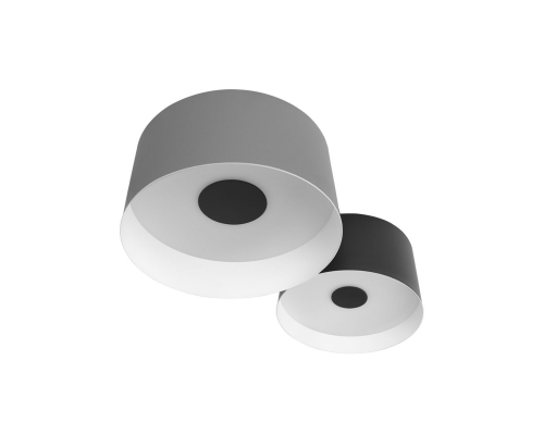 Потолочный светодиодный светильник Loft IT Duo 10360/2