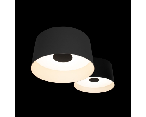 Потолочный светодиодный светильник Loft IT Duo 10360/2